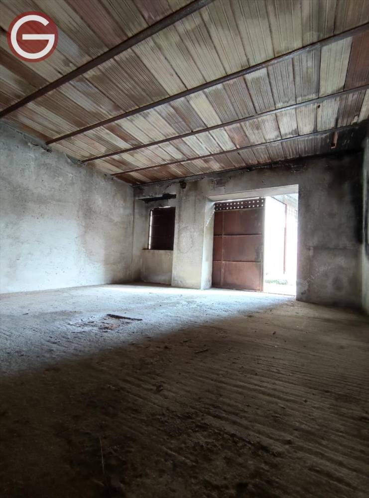 box auto in vendita a Cittanova