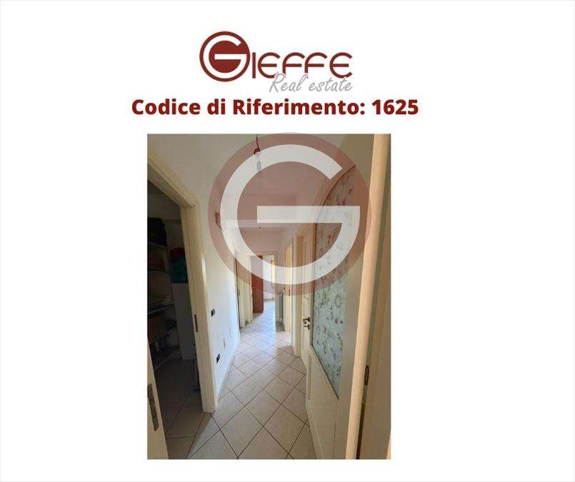 casa indipendente in vendita a Cittanova