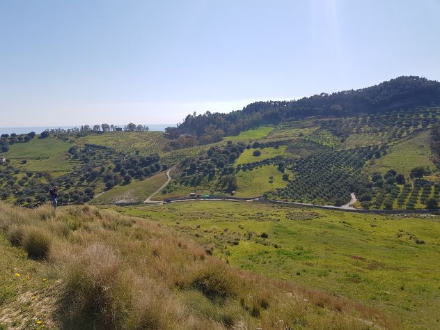 terreno agricolo in vendita a Condofuri in zona San Carlo