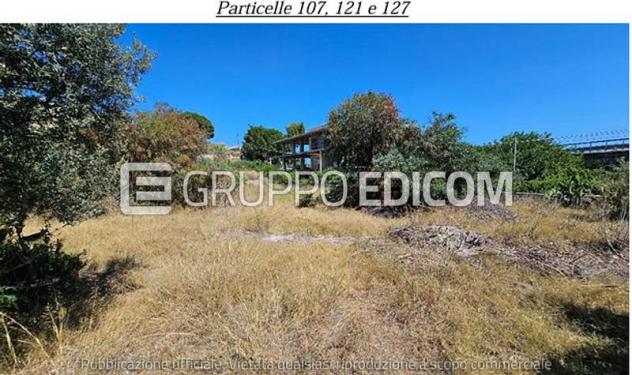 terreno agricolo in vendita a Condofuri