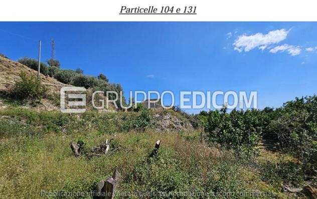 terreno agricolo in vendita a Condofuri