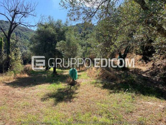 terreno agricolo in vendita a Galatro