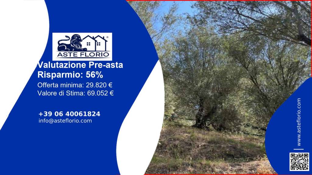 terreno agricolo in vendita a Galatro