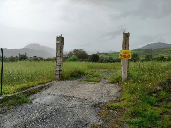 terreno agricolo in vendita a Gerace