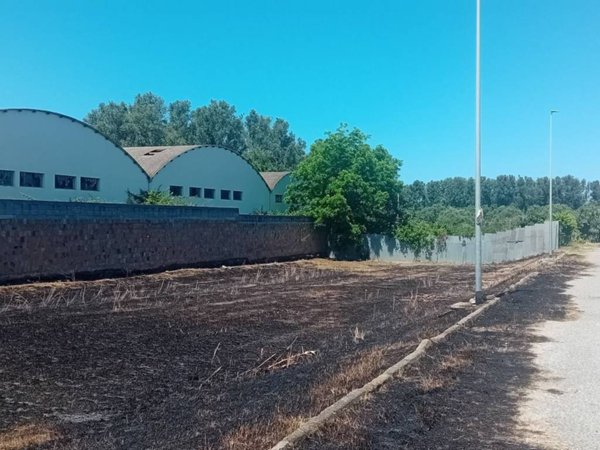 terreno agricolo in vendita a Gioia Tauro