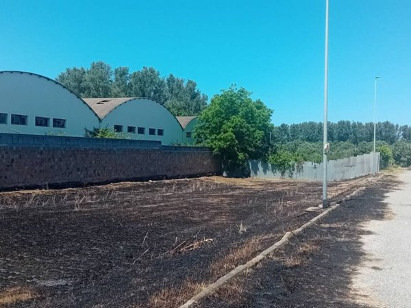 terreno agricolo in vendita a Gioia Tauro