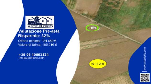 terreno agricolo in vendita a Gioia Tauro