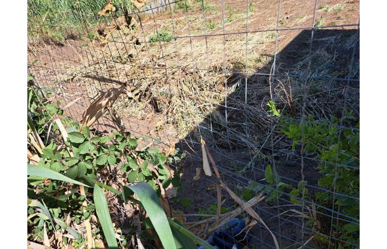 terreno edificabile in vendita a Gioia Tauro