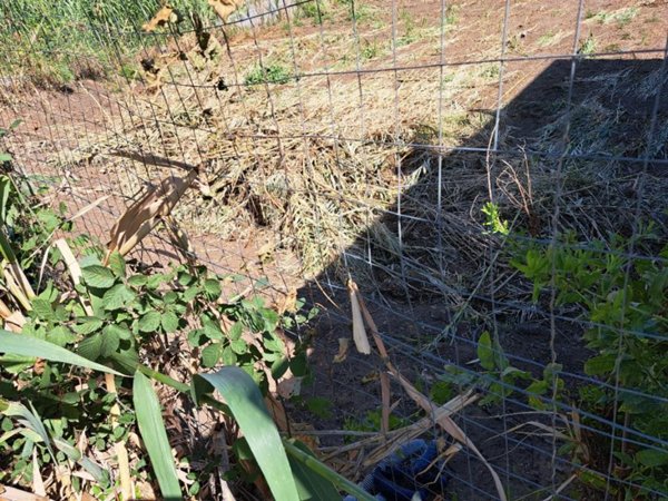 terreno edificabile in vendita a Gioia Tauro