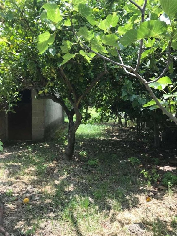 casa indipendente in vendita a Gioiosa Ionica in zona Sant'Antonio