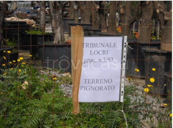 terreno agricolo in vendita a Gioiosa Ionica