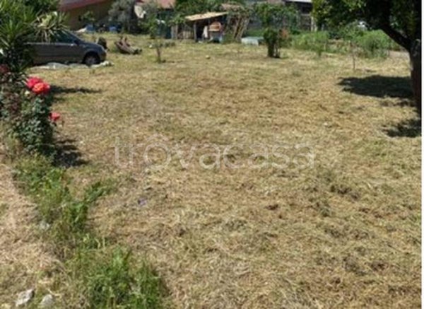 terreno agricolo in vendita a Gioiosa Ionica