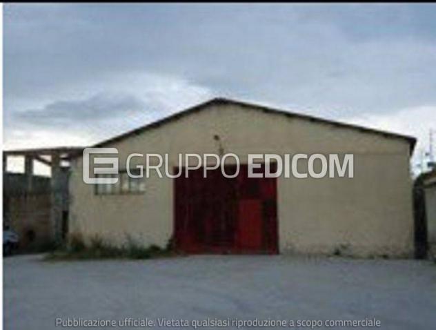 negozio in vendita a Grotteria