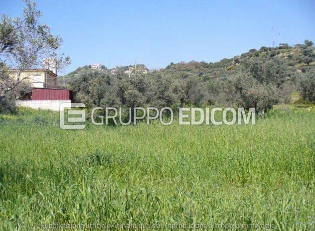 terreno agricolo in vendita a Grotteria