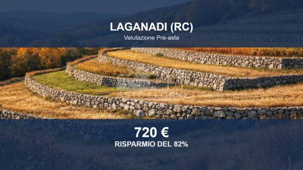 terreno agricolo in vendita a Laganadi