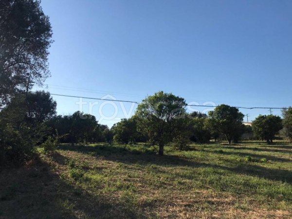 terreno agricolo in vendita a Locri