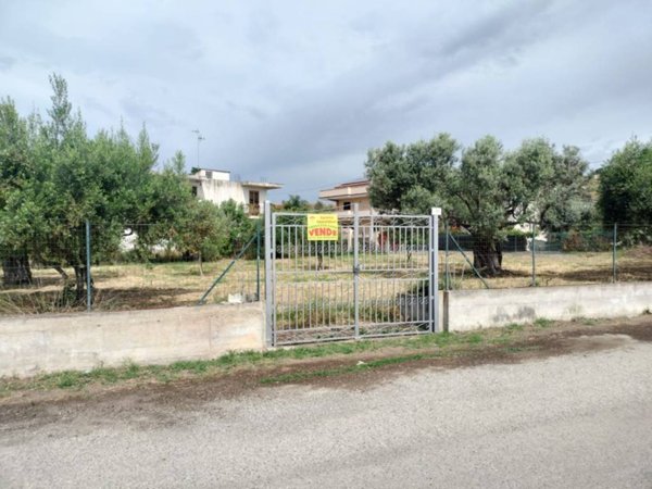 terreno agricolo in vendita a Locri