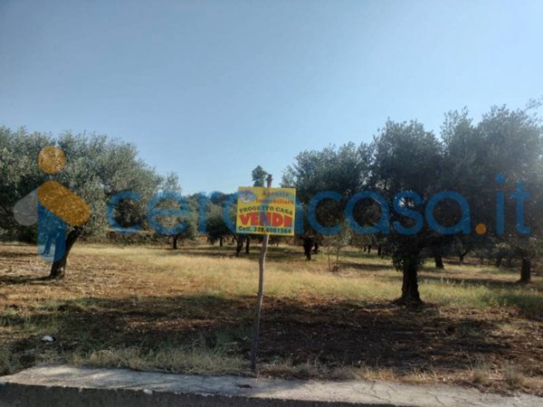 terreno edificabile in vendita a Locri