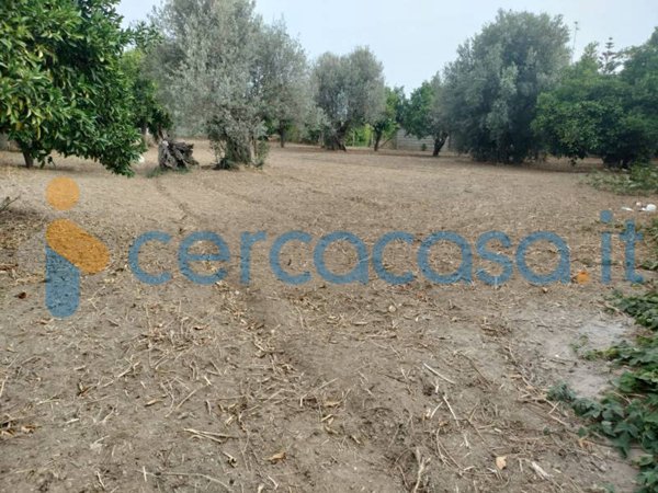 casa indipendente in vendita a Locri