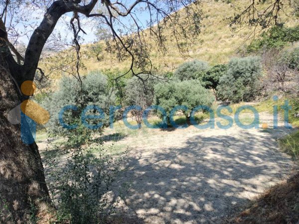 terreno agricolo in vendita a Locri