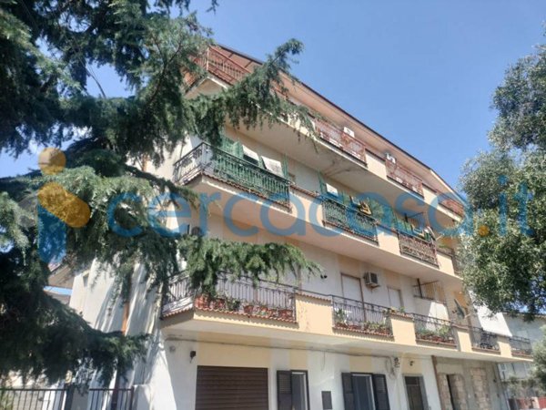 appartamento in vendita a Locri