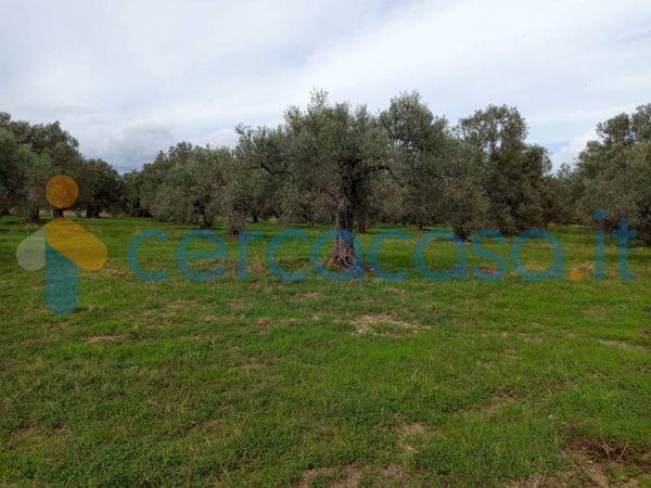 terreno in vendita a Locri in zona Moschetta