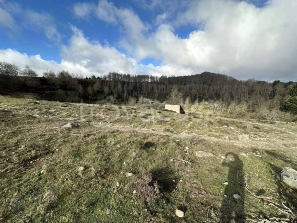 terreno agricolo in vendita a Mammola