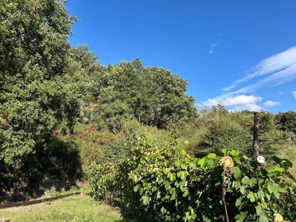 casa indipendente in vendita a Mammola