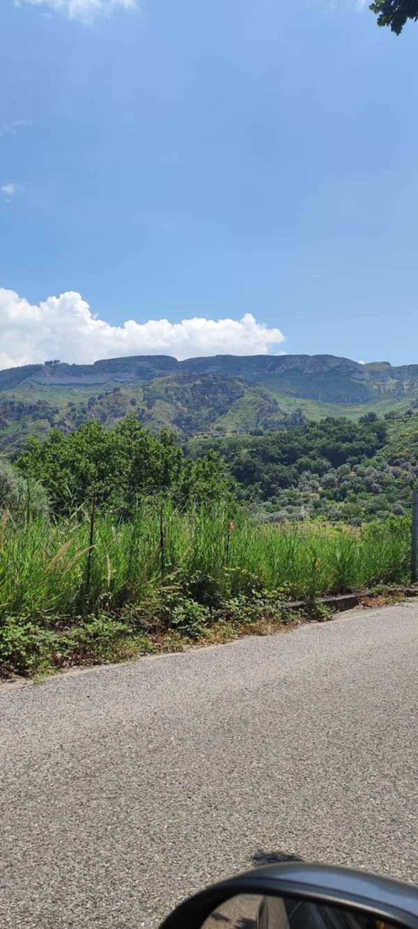 terreno agricolo in vendita a Mammola