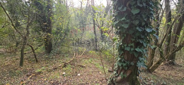 ufficio in vendita ad Antignano