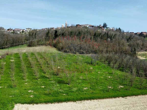 terreno agricolo in vendita ad Antignano