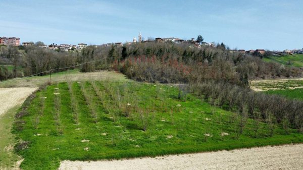 terreno agricolo in vendita ad Antignano