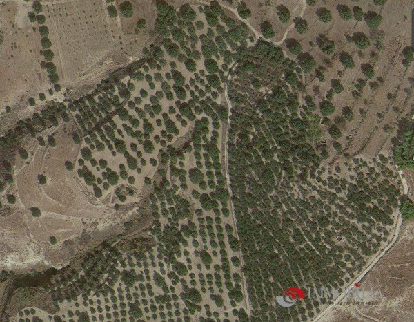 negozio in affitto a Melito di Porto Salvo in zona Pentidattilo