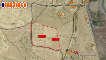 terreno agricolo in vendita a Melito di Porto Salvo