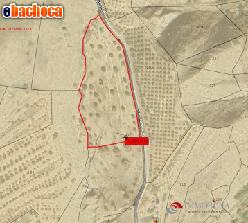 terreno agricolo in vendita a Melito di Porto Salvo