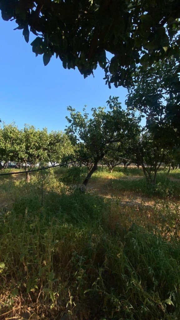 monolocale in vendita a Melito di Porto Salvo in zona Annà