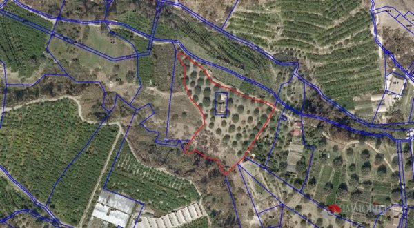 terreno agricolo in vendita a Melito di Porto Salvo in zona Lacco