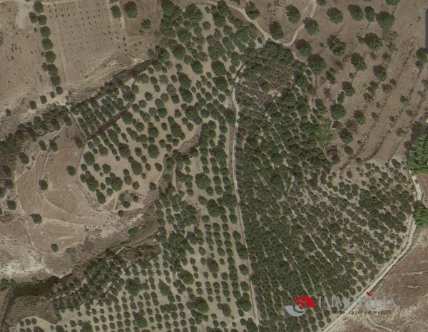 azienda agricola in vendita a Melito di Porto Salvo in zona Pentidattilo