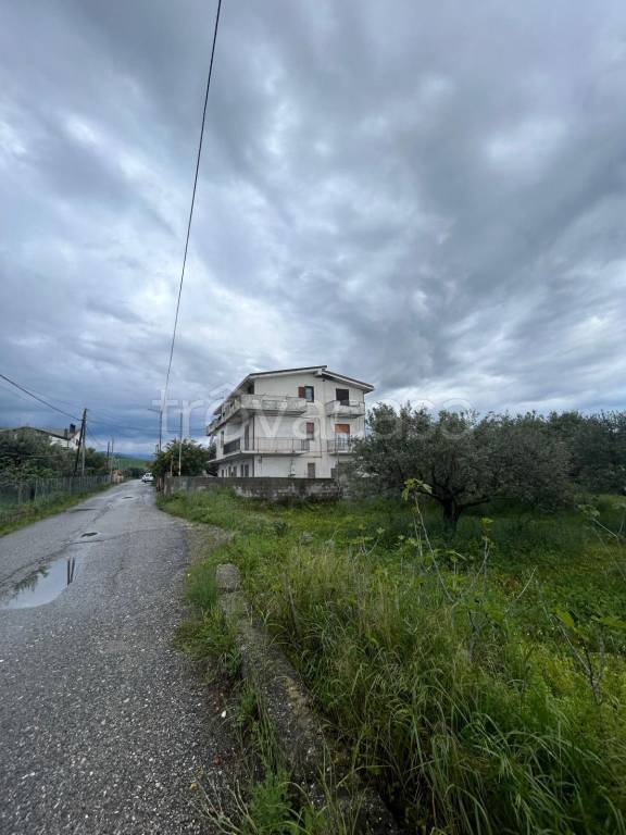 casa indipendente in vendita a Monasterace