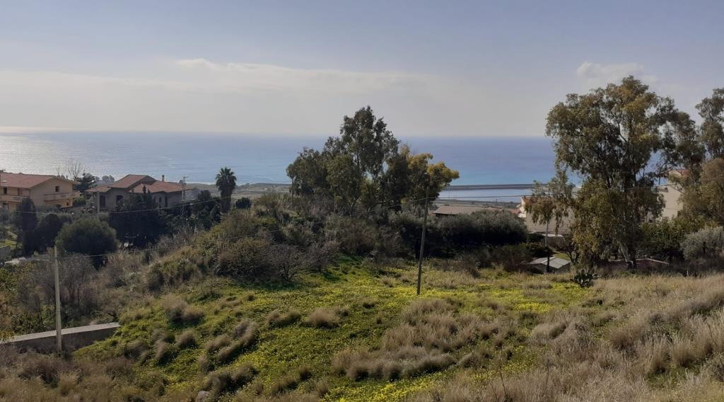 terreno agricolo in vendita a Montebello Jonico