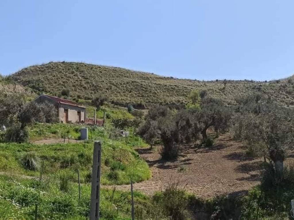 terreno agricolo in vendita a Motta San Giovanni