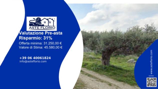 terreno agricolo in vendita a Motta San Giovanni