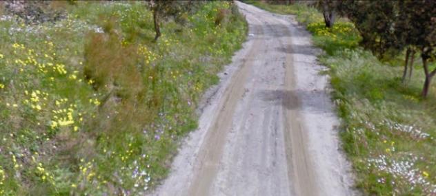 terreno agricolo in vendita a Motta San Giovanni