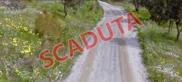 terreno agricolo in vendita a Motta San Giovanni