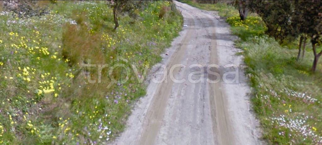 terreno agricolo in vendita a Motta San Giovanni