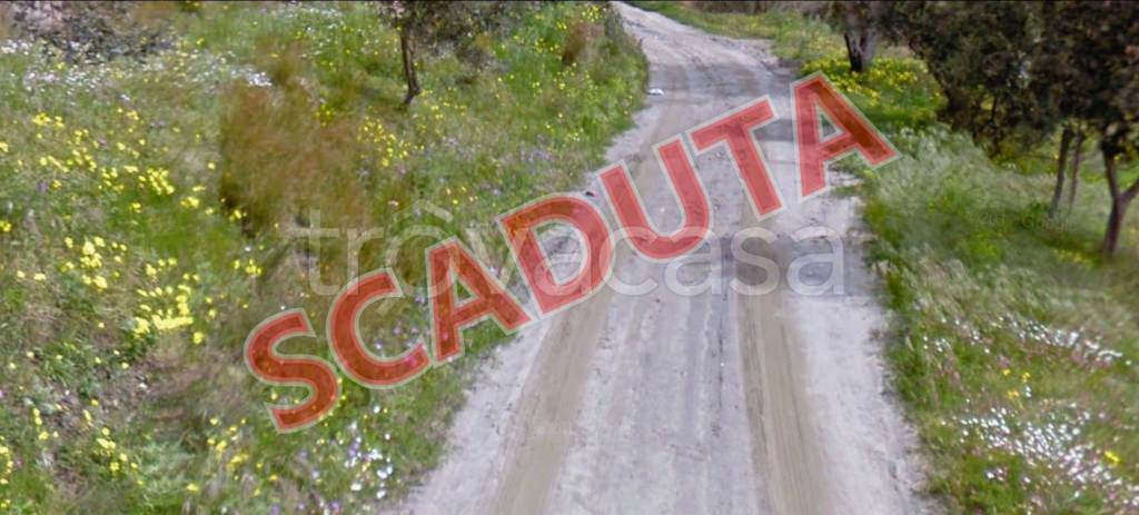 terreno agricolo in vendita a Motta San Giovanni