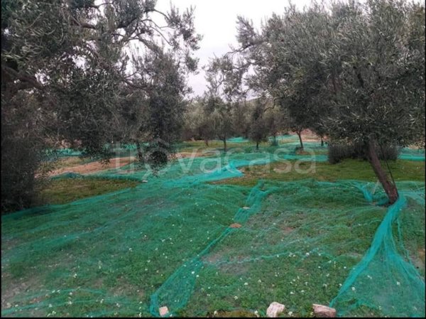 casa indipendente in vendita a Motta San Giovanni