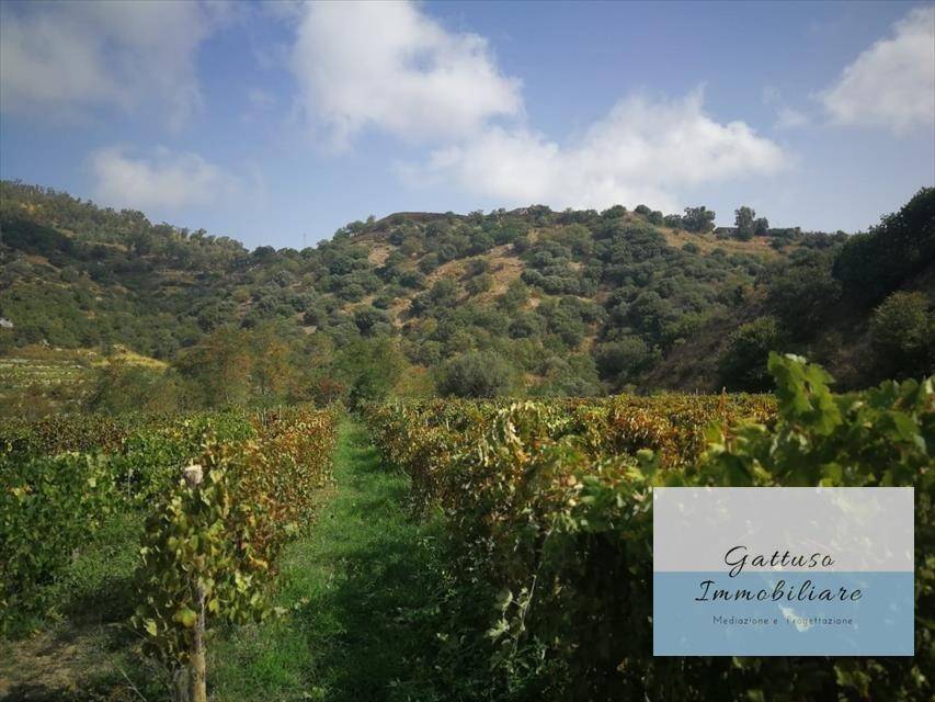 terreno agricolo in vendita a Palizzi in zona Palizzi Superiore