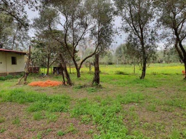 terreno agricolo in vendita a Palmi