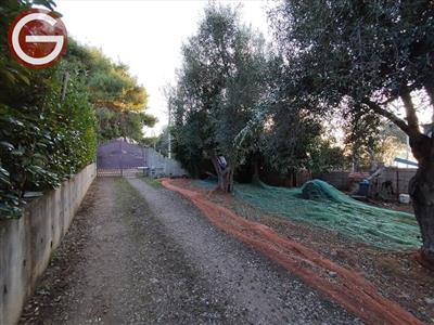 appartamento in vendita a Palmi